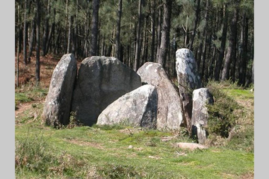 Tranquila Casita De Invitados En Vigo Con Chimenea Экстерьер фото